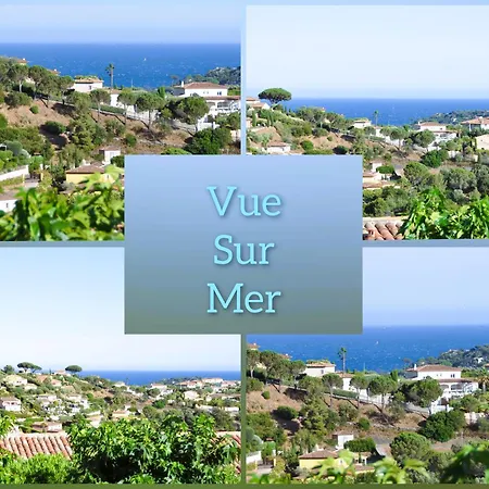 Mazet Climatise Vue I Piscine I Parking I Wifi I Linge Et Menage Inclus *