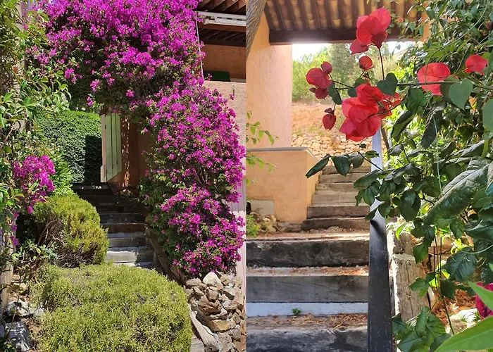 Mazet Climatise Vue I Piscine I Parking I Wifi I Linge Et Menage Inclus